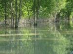 [76] ACQUA CALANTE_Golena di Guastalla_Piena 2009